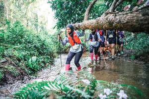 BIB: 
                            <button type="button" onclick="openModal(25475950)" class="btn btn-primary btn-sm float-right btn-popup" data-toggle="modal" data-target=".modal-high-quality">
                        <i class="fas fa-shopping-cart"></i> Add to Cart
                    </button>
                                            <button type="button" onclick="isThisMe(25475950, true)" class="btn btn-success btn-sm float-right btn-popup btn-isme hidden" data-toggle="tooltip" data-placement="bottom" title="นี่คือรูปของคุณใช่ไหม คลิกที่นี่เพื่อเอาเข้าอัลบั้ม">
                        <i class="fas fa-plus"></i> Add to album
                    </button>
                    <button type="button" onclick="isThisMe(25475950, false)" class="btn btn-warning btn-sm float-right btn-popup btn-isnotme hidden">
                        <i class="fas fa-ban"></i> Remove from album
                    </button>